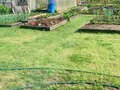 Продажа садового участка: г. Первоуральск, Коллективный сад №1 (городской округ Первоуральск) - Фото 7