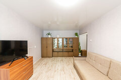 Екатеринбург, ул. Металлургов, 24а (ВИЗ) - фото квартиры