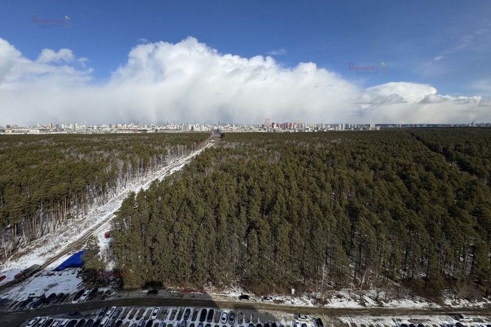 Екатеринбург, ул. Чкалова, 231 (УНЦ) - фото квартиры (8)