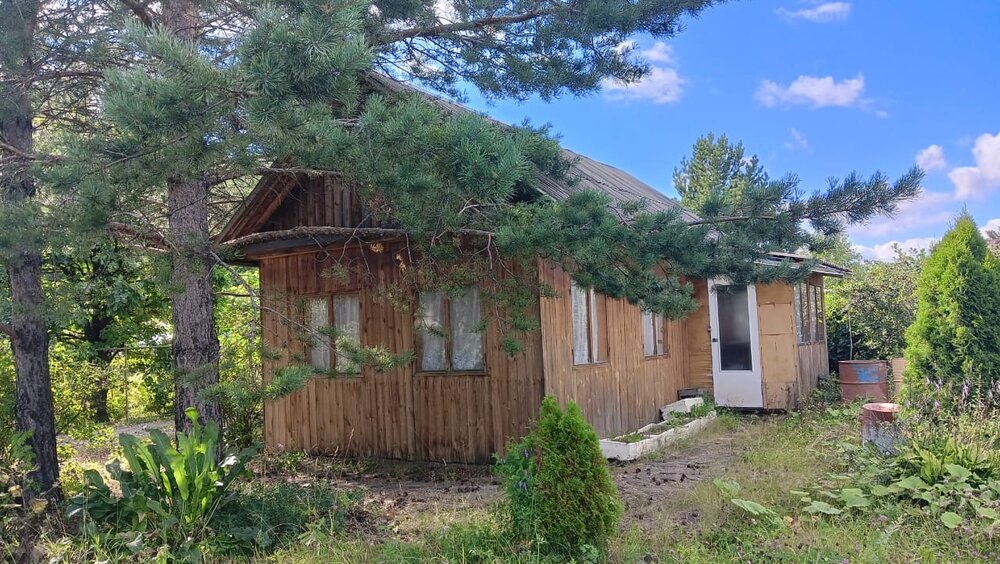 п. Хризолитовый, СПК Фронтовик (городской округ Белоярский) - фото сада (1)