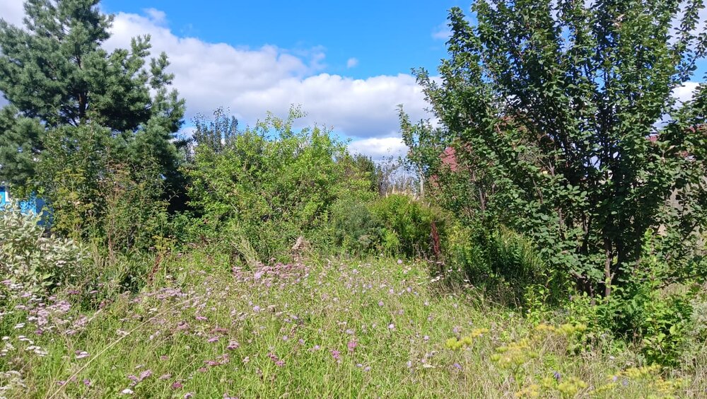 п. Хризолитовый, СПК Фронтовик (городской округ Белоярский) - фото сада (8)
