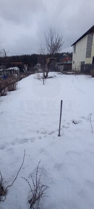 с. Кашино, КС Колос, уч. 28 (городской округ Сысертский) - фото сада (2)