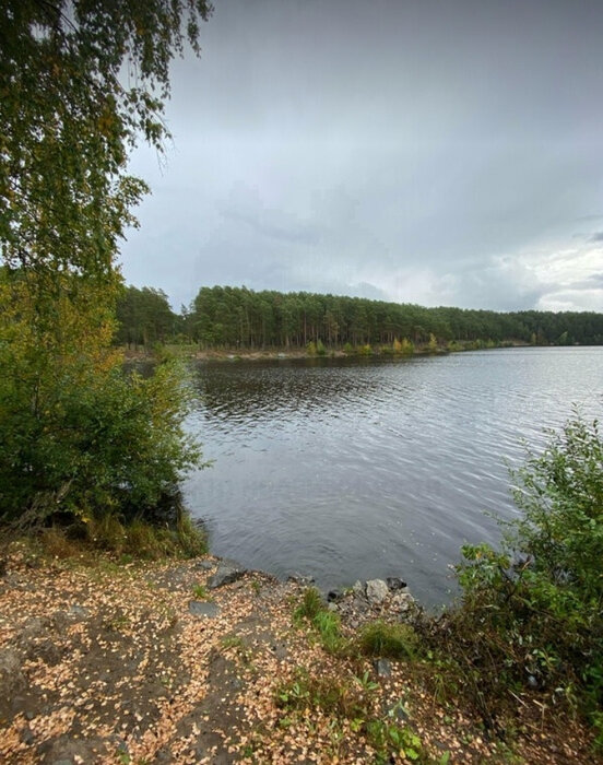 с. Кашино, КС Колос, уч. 28 (городской округ Сысертский) - фото сада (3)