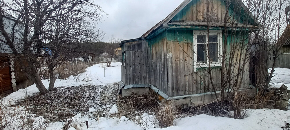 с. Кашино, КС Колос, уч. 28 (городской округ Сысертский) - фото сада (4)