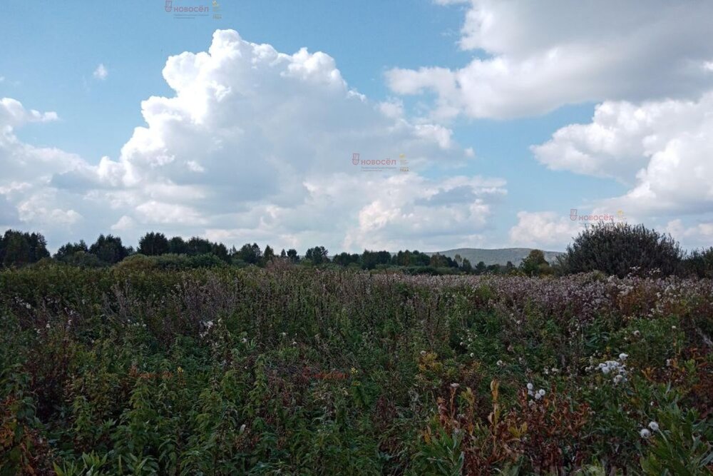 п. Большой Исток, СНТ Медик-1, уч. 9 (городской округ Сысертский) - фото сада (3)
