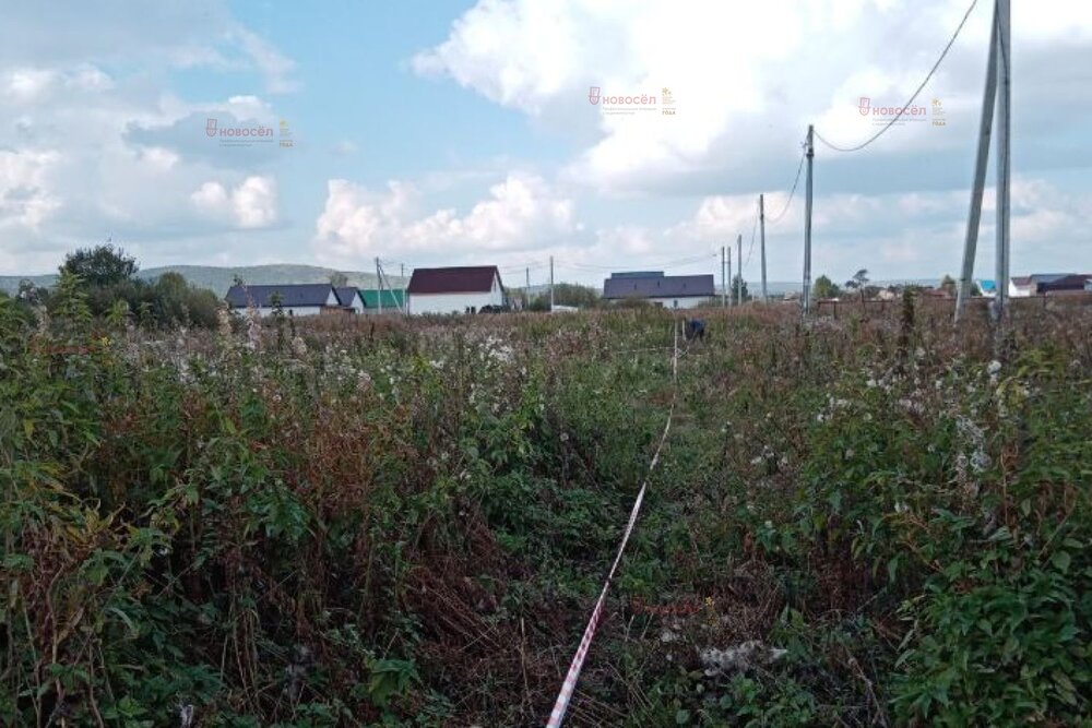 п. Большой Исток, СНТ Медик-1, уч. 9 (городской округ Сысертский) - фото сада (5)