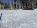 Продажа земельного участка: с. Курганово, ул. Ольховая, 3 (городской округ Полевской) - Фото 7