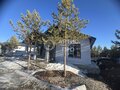 Продажа дома: к.п. Зеленые кварталы, ул. Лебедева, 8 (городской округ Белоярский, п. Рассоха) - Фото 3