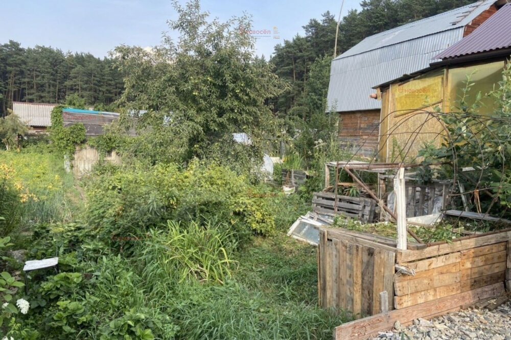 г. Березовский, сад № 8 (городской округ Березовский) - фото сада (2)