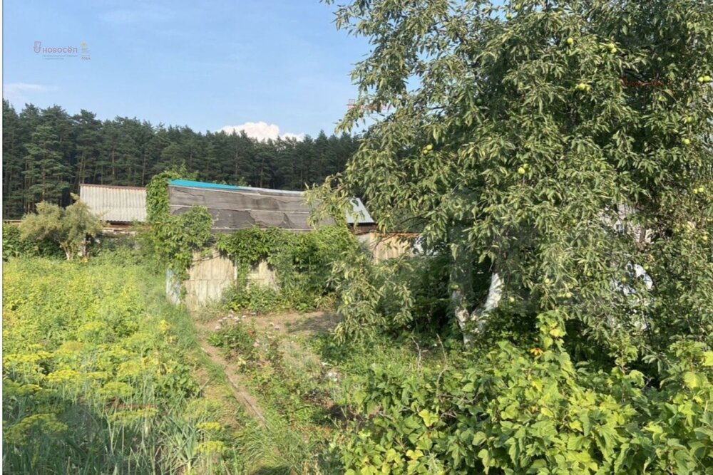 г. Березовский, сад № 8 (городской округ Березовский) - фото сада (3)