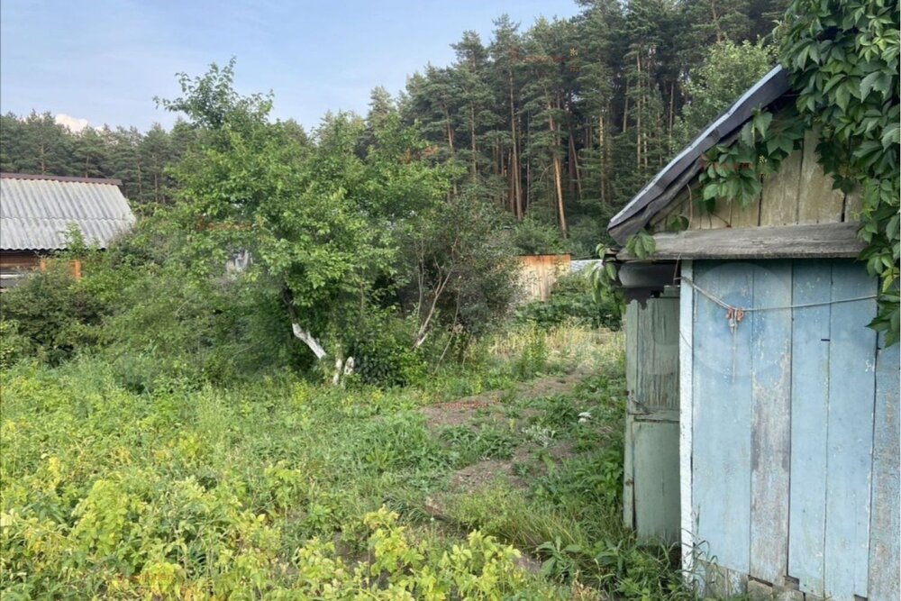 г. Березовский, сад № 8 (городской округ Березовский) - фото сада (4)