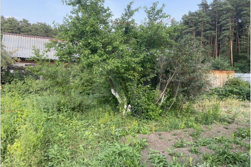 г. Березовский, сад № 8 (городской округ Березовский) - фото сада (5)