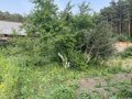 Продажа садового участка: г. Березовский, сад № 8 (городской округ Березовский) - Фото 5