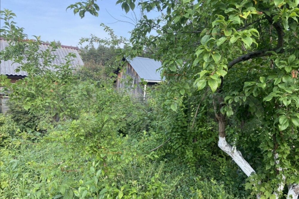 г. Березовский, сад № 8 (городской округ Березовский) - фото сада (6)