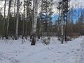 Продажа земельного участка: Екатеринбург, ул. Надежда (Горный щит) - Фото 8