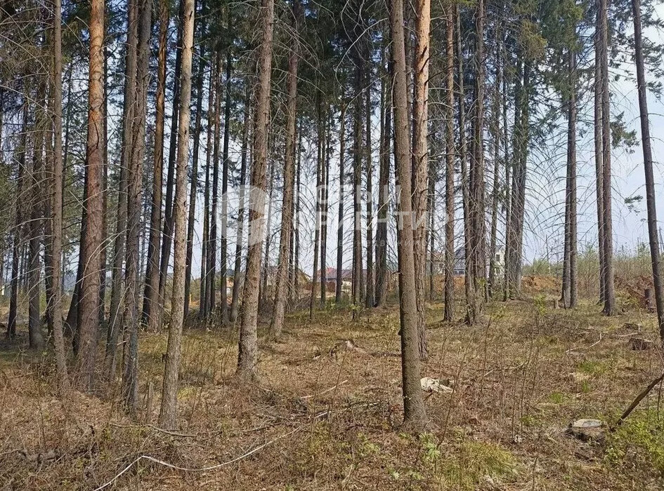 Екатеринбург, ул. Хвойная (городской округ Ревда) - фото земельного участка (4)