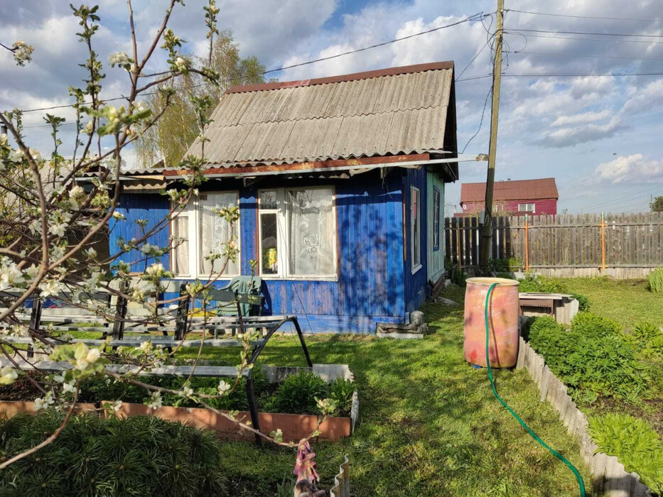 Екатеринбург, коллективный сад 