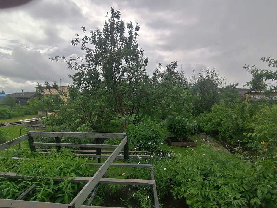 Екатеринбург, коллективный сад 