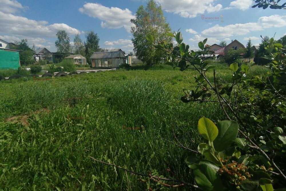 г. Верхняя Пышма, СНТ Фантазия, уч. 42 (городской округ Верхняя Пышма) - фото сада (2)