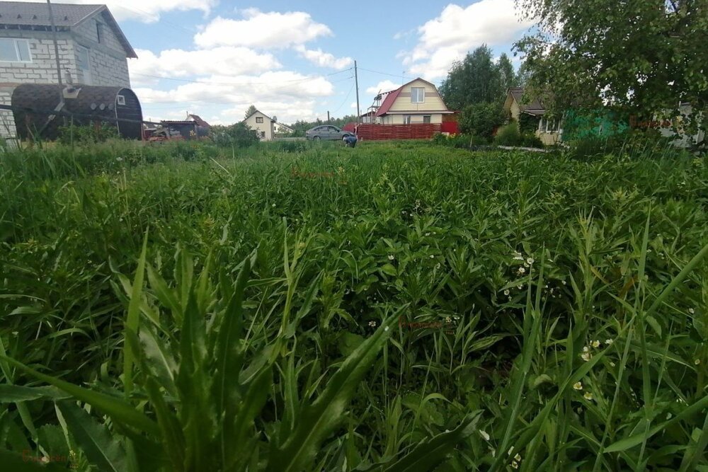г. Верхняя Пышма, СНТ Фантазия, уч. 42 (городской округ Верхняя Пышма) - фото сада (3)