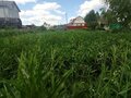Продажа садового участка: г. Верхняя Пышма, СНТ Фантазия, уч. 42 (городской округ Верхняя Пышма) - Фото 3