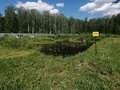 Продажа садового участка: г. Верхняя Пышма, СНТ Фантазия, уч. 42 (городской округ Верхняя Пышма) - Фото 8