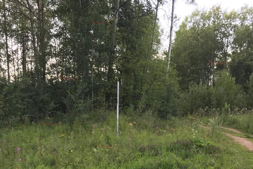п. Ребристый, ул. Победы, 8 (городской округ Невьянский) - фото земельного участка (7)