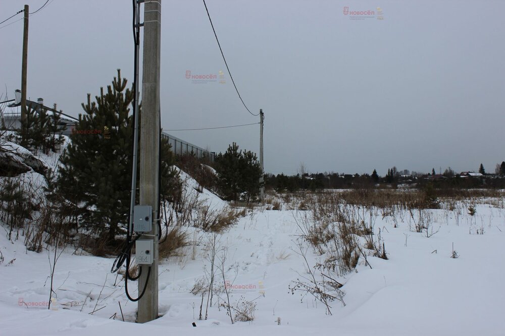 д. Поварня, ул. Кленовая, 84 (городской округ Белоярский) - фото земельного участка (5)