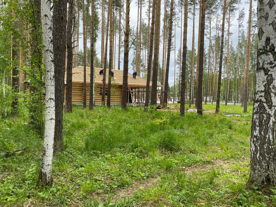 к.п. Заповедник, ул. Соболь, 4 км восточнее с Кашино (городской округ Сысертский, п. Габиевский) - фото земельного участка (6)