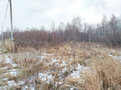 Продажа садового участка: Екатеринбург, снт. Надежда-3 (Шабровский) - Фото 6