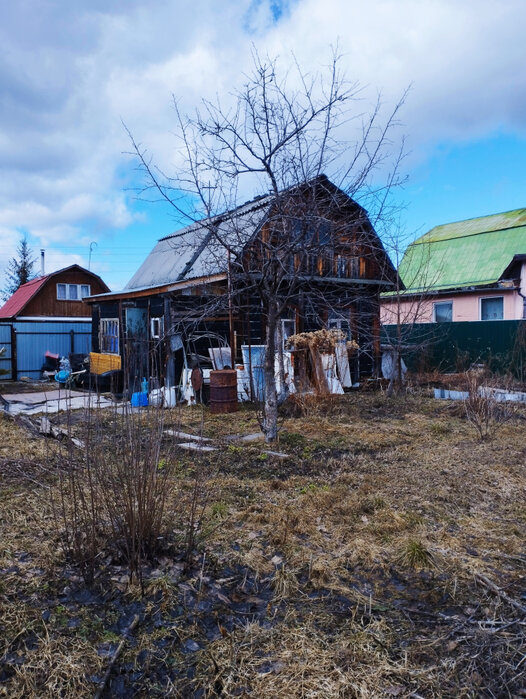 п. Сагра, Снт Радиотехник, уч. 205 (городской округ Верхняя Пышма) - фото сада (1)