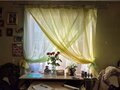 Продажа садового участка: г. Верхняя Пышма, СНТ Астра (городской округ Верхняя Пышма) - Фото 8