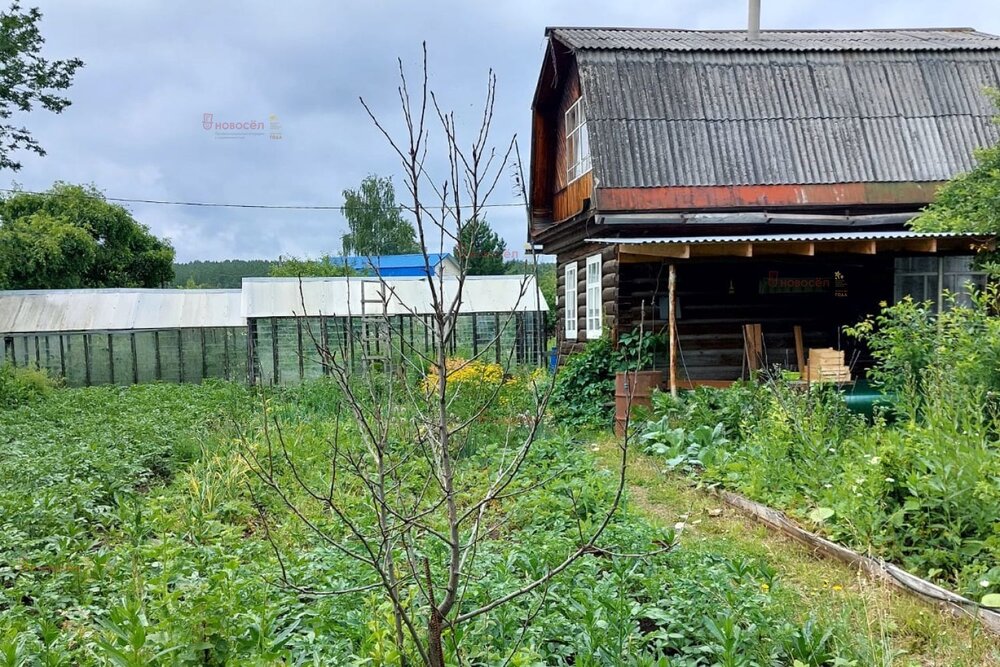 г. Березовский, коллективный сад № 30, (городской округ Березовский) - фото сада (3)