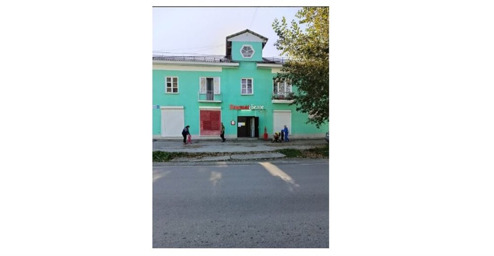 г. Нижняя Тура, ул. Советская, 25 (городской округ Нижнетуринский) - фото торговой площади (3)