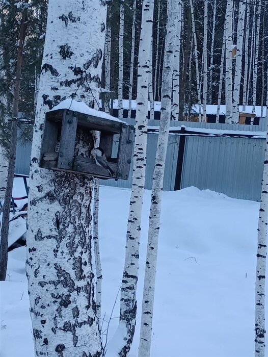 ДНП Мешков лог, ул. Лесная, 31 (городской округ Белоярский) - фото дома (6)