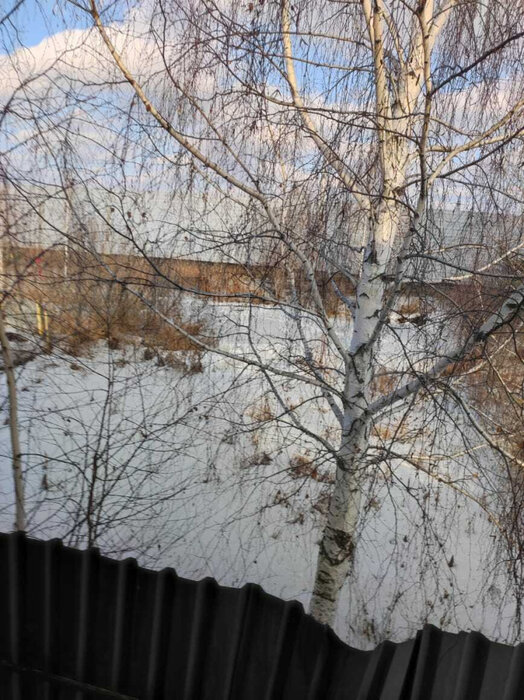 Екатеринбург, ул. Родничок 5,  51 (М.Исток) - фото дома (6)