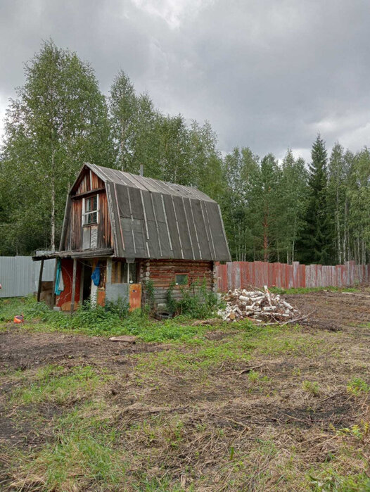 с. Кунгурка, Ревда, юго-восточнее с. Кунгурка, СНТ «Березовая роща», участок №, уч. 129 (городской округ Ревда) - фото сада (4)