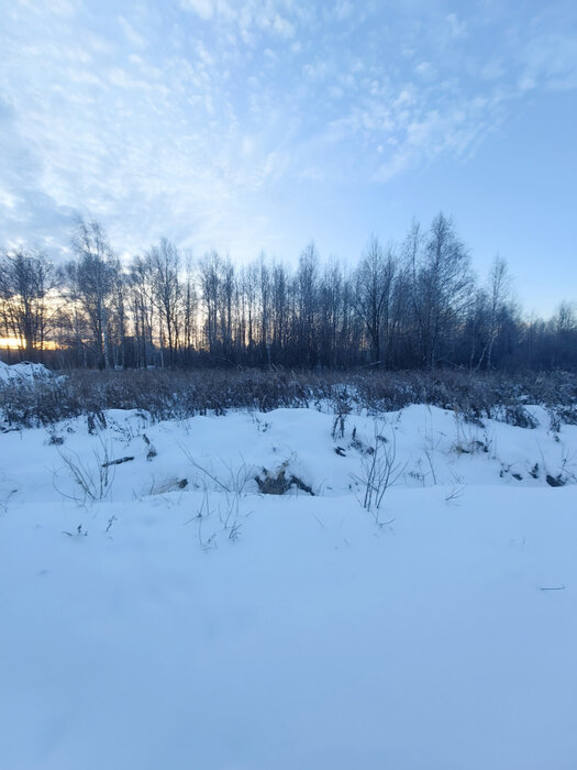 п. Залесье, ул. Новое залесье (городской округ Верхняя Пышма) - фото земельного участка (4)