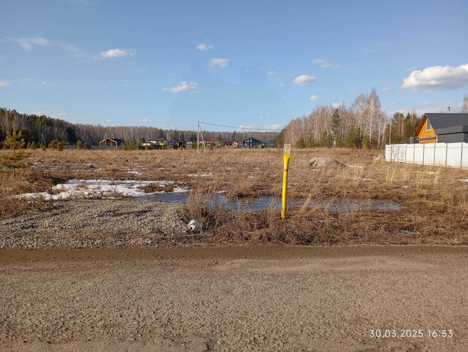 к.п. Александрия, ул. Главная, 43 (городской округ Белоярский, д. Гусева) - фото земельного участка (1)
