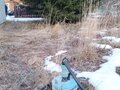 Продажа садового участка: г. Сысерть, снт Ключи (городской округ Сысертский) - Фото 7