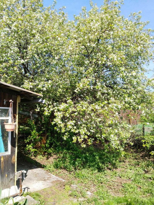 г. Сысерть, ул. Заречная, 6А (городской округ Сысертский) - фото дома (2)