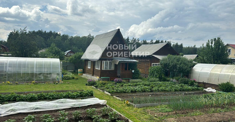 Екатеринбург, СНТ Марс, уч. 39Г - фото сада (5)
