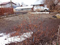 Продажа дачи: г. Верхняя Пышма, ул. Фрунзе, 5 (городской округ Верхняя Пышма) - Фото 4
