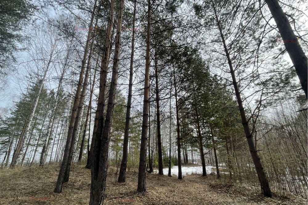 г. Верхняя Пышма, ул. на берегу озера Балтым (городской округ Верхняя Пышма) - фото земельного участка (2)