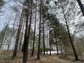 Продажа земельного участка: г. Верхняя Пышма, ул. на берегу озера Балтым (городской округ Верхняя Пышма) - Фото 2