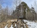 Продажа земельного участка: г. Верхняя Пышма, ул. на берегу озера Балтым (городской округ Верхняя Пышма) - Фото 5