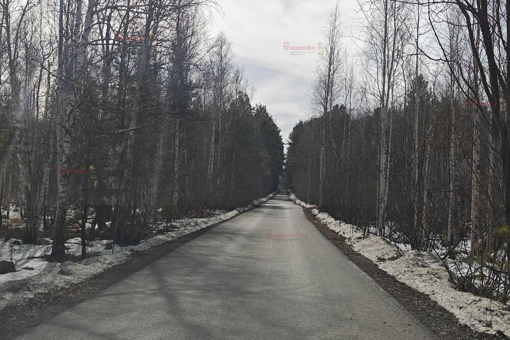 г. Верхняя Пышма, ул. на берегу озера Балтым (городской округ Верхняя Пышма) - фото земельного участка (7)
