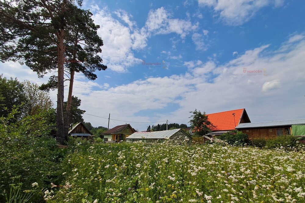 г. Ревда, СОТ Заря-2 (городской округ Ревда) - фото сада (1)