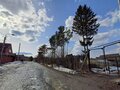 Продажа садового участка: г. Ревда, СОТ Заря-2 (городской округ Ревда) - Фото 4