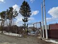 Продажа садового участка: г. Ревда, СОТ Заря-2 (городской округ Ревда) - Фото 5
